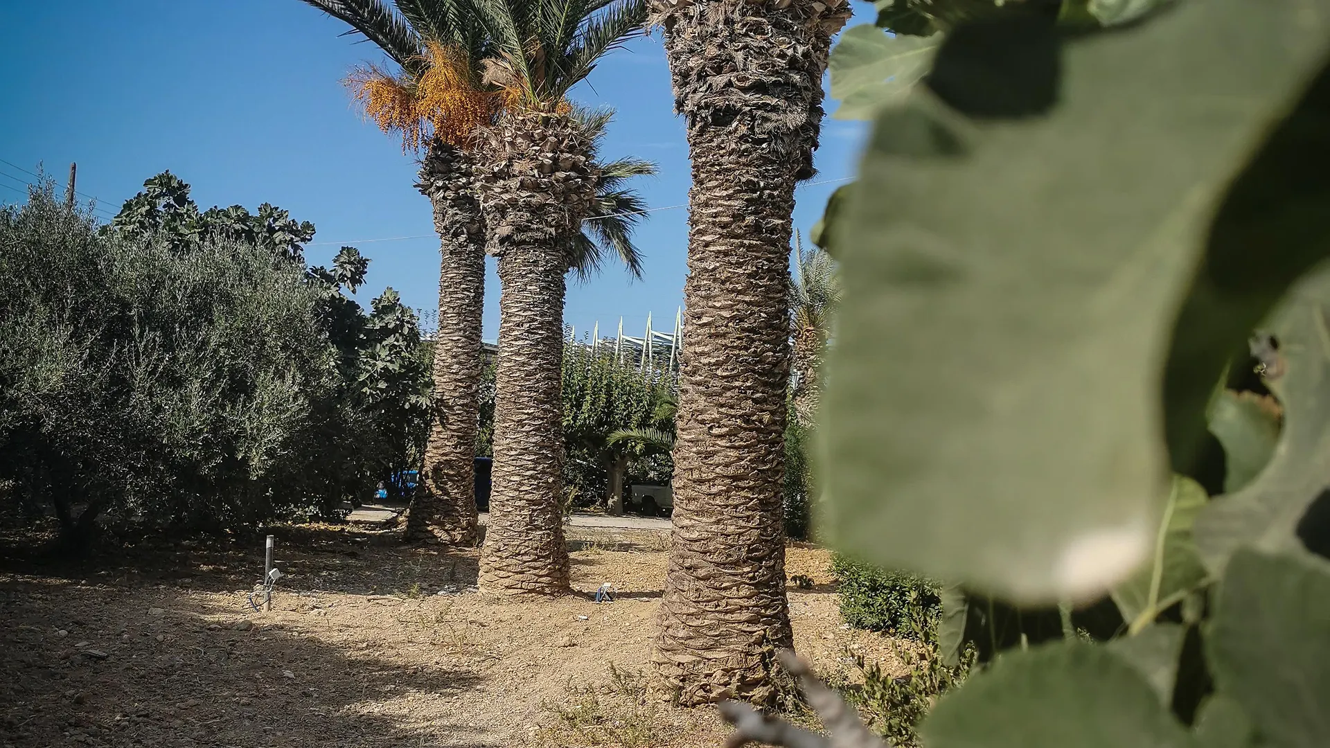 Gorgona Hotel Amoudara Lasithiou