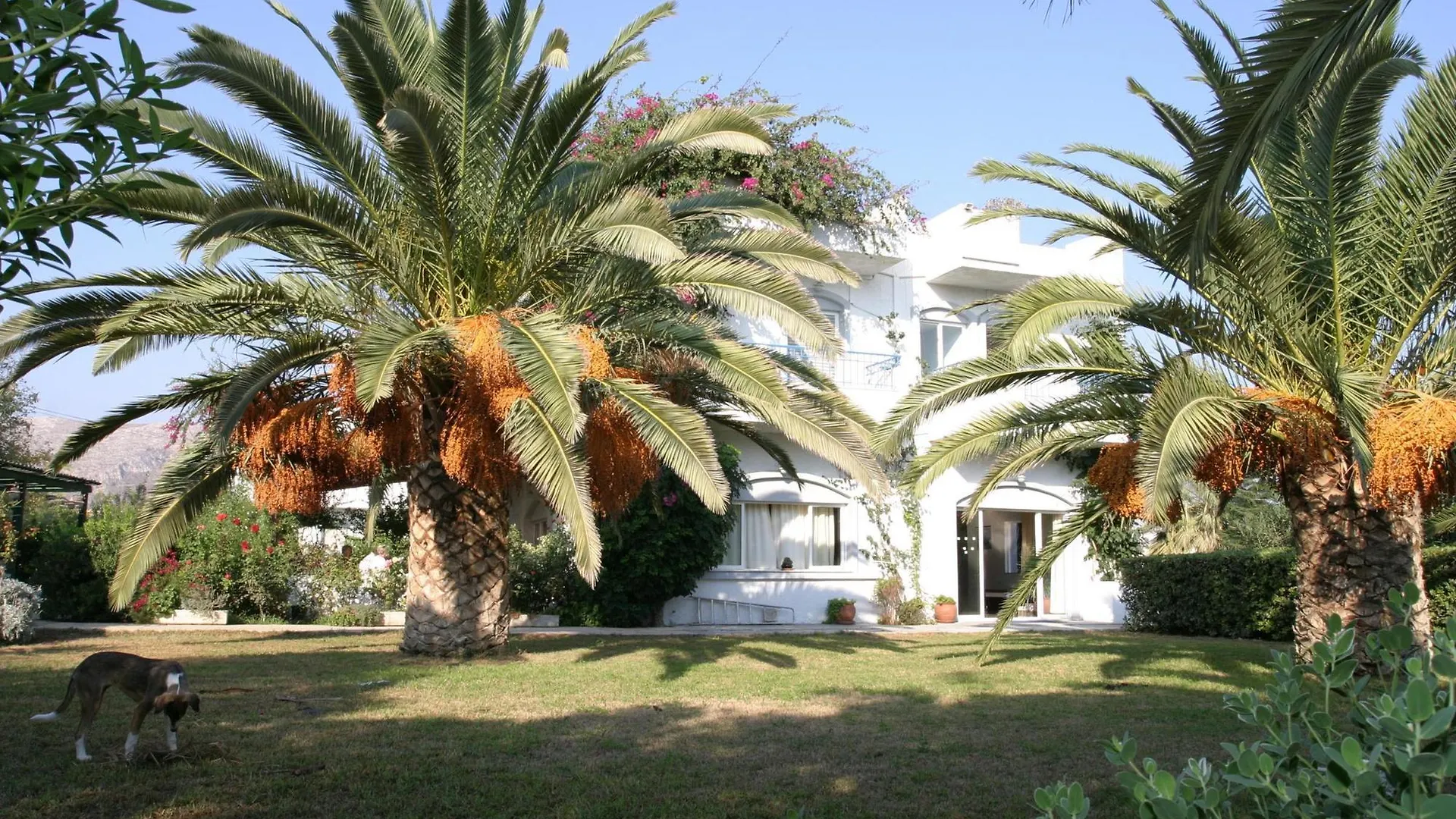Gorgona Hotel Amoudara Lasithiou Grécia